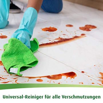 Der General Universal Pro Nature Minze und Gurke, Allzweckreiniger, 750ml, mit 98,6 Prozent naturbasierten Inhaltsstoffen - 4