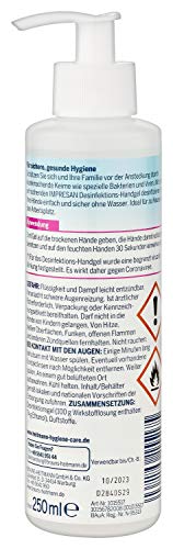 Impresan Hände Desinfektions-Gel 250 ml: Hand-Reinigung im praktischen Spender für Zuhause - gegen Bakterien und Viren, 6er Pack im praktischen Vorteilspack - 2